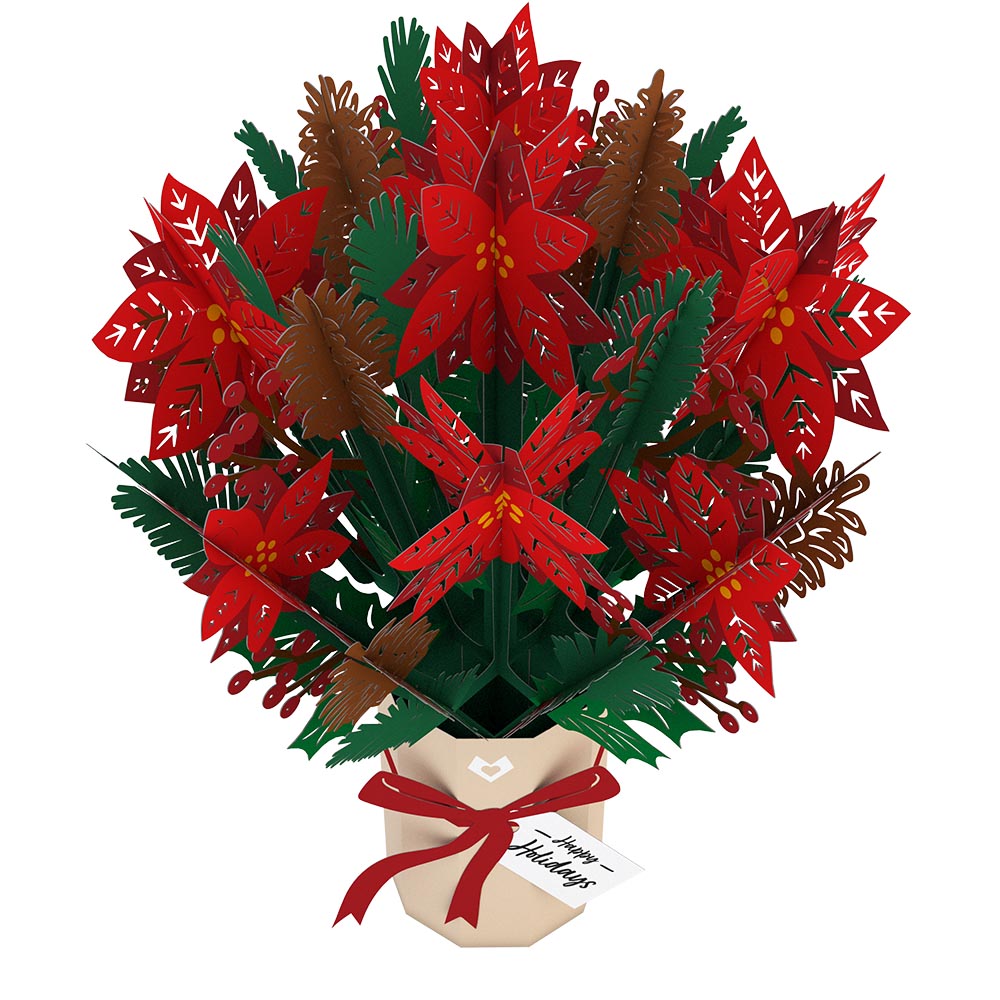 Poinsettia Christmas Bundle