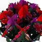 Stranger Things Demogorgon Love Bouquet