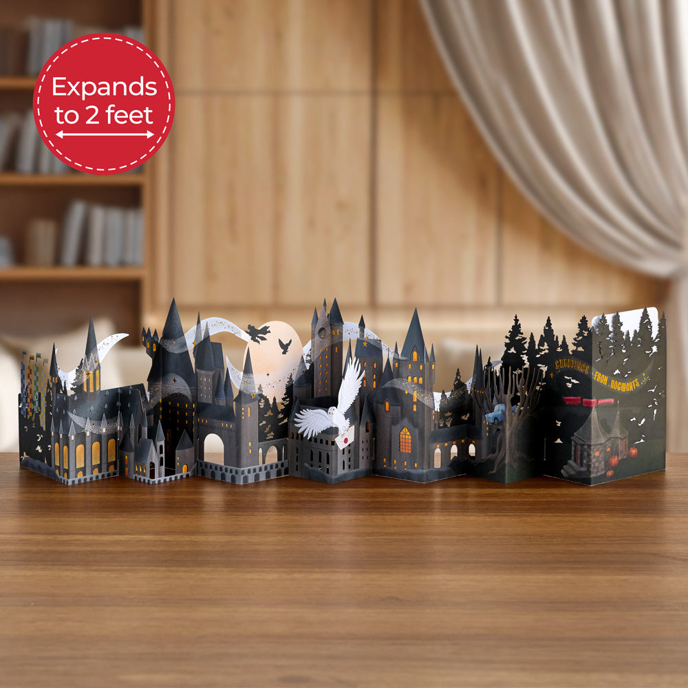 Harry Potter™ Greetings from Hogwarts™ Loooooong Card™ (Expands to 2 feet)
