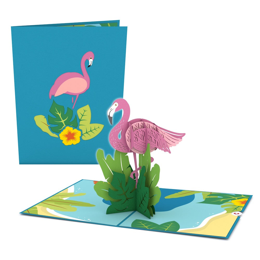 Party Animals Birthday 5-Pack