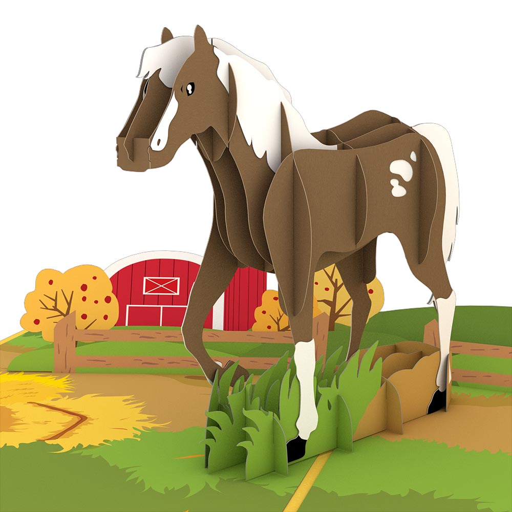 Horse Birthday Pop-Up Card and Cardio Queen Sentiment Set