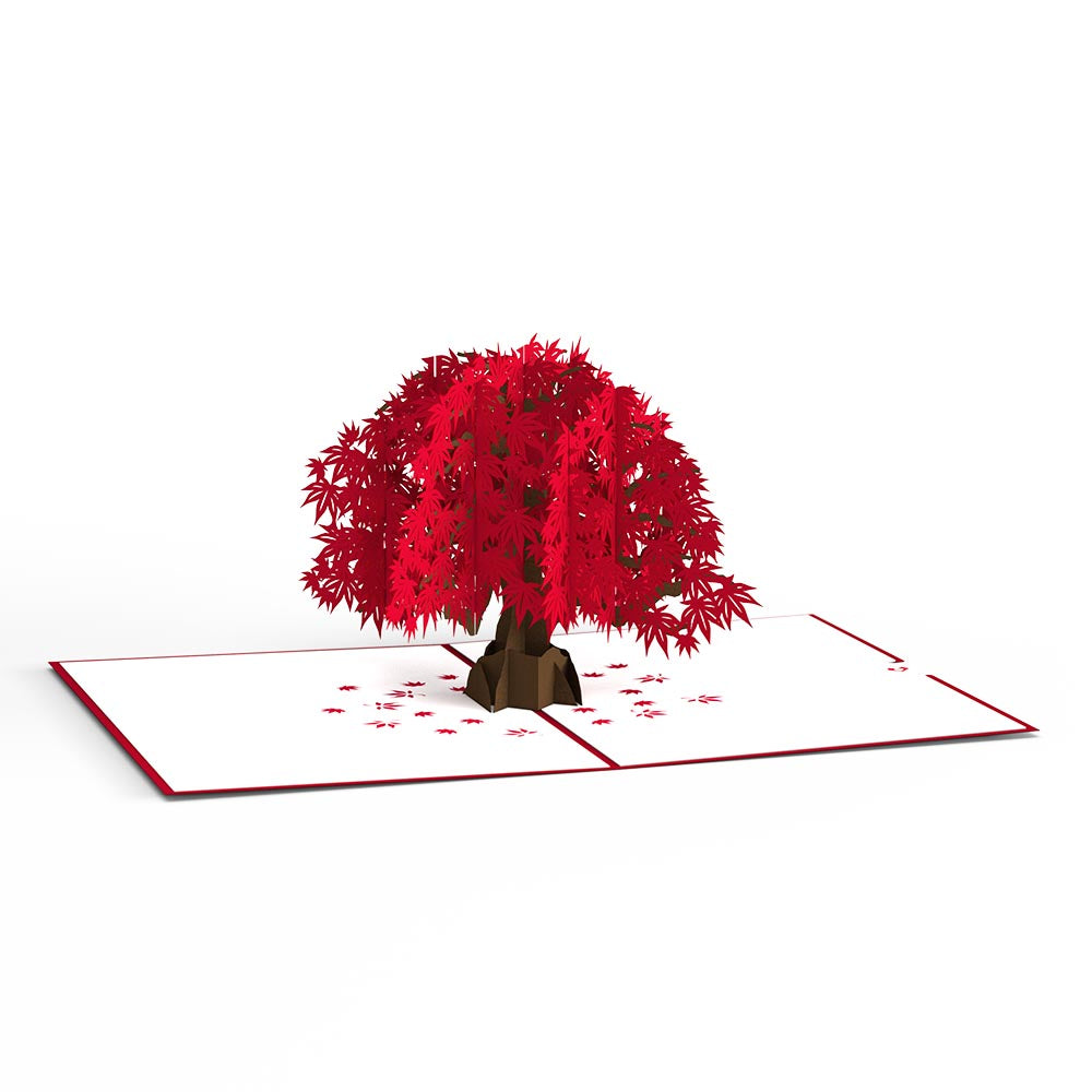 Japanese Maple Pop-Up Card