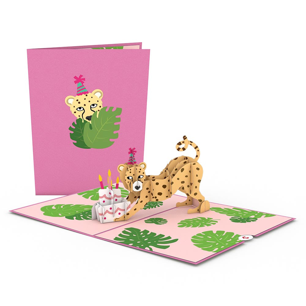 Party Animals Birthday 5-Pack