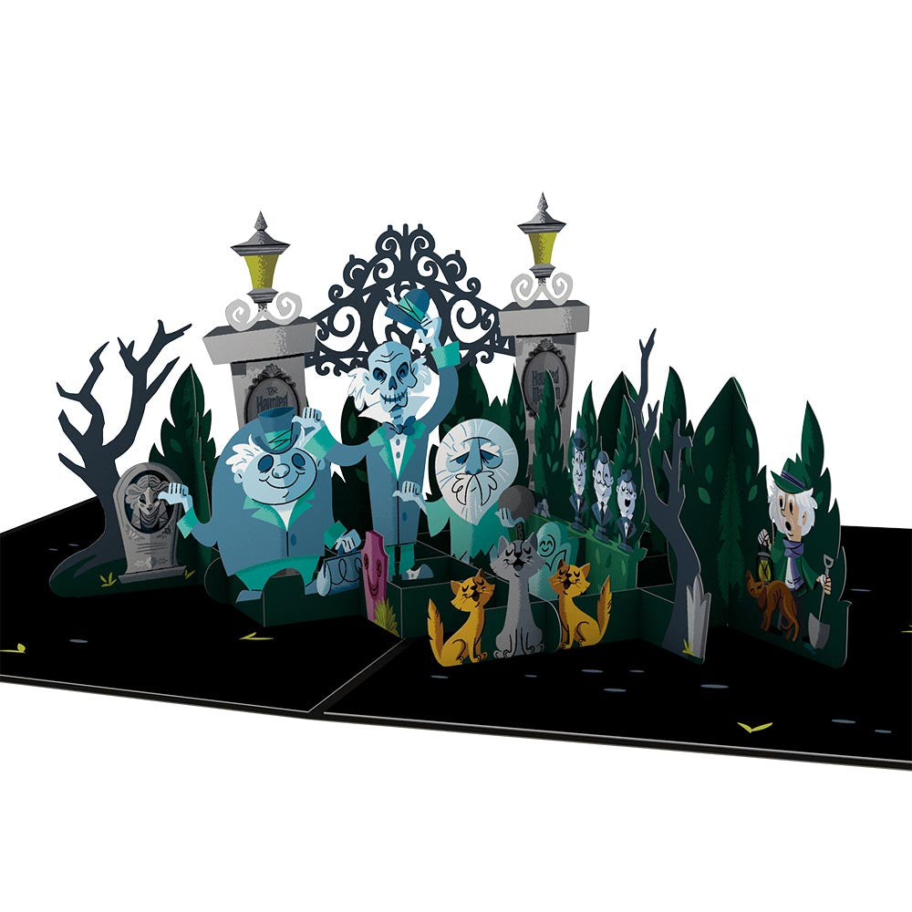 Disney The Haunted Mansion Bundle