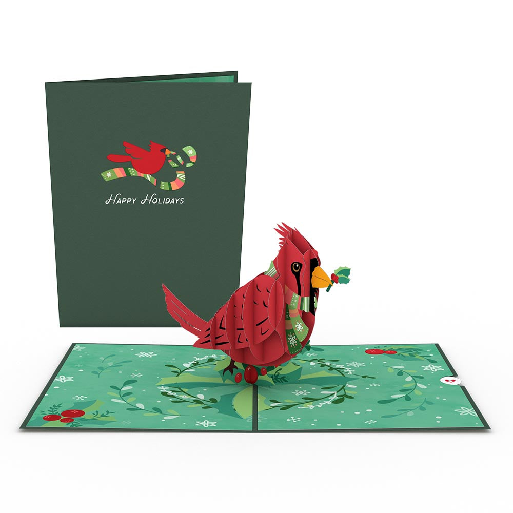 Christmas In July Value Pack