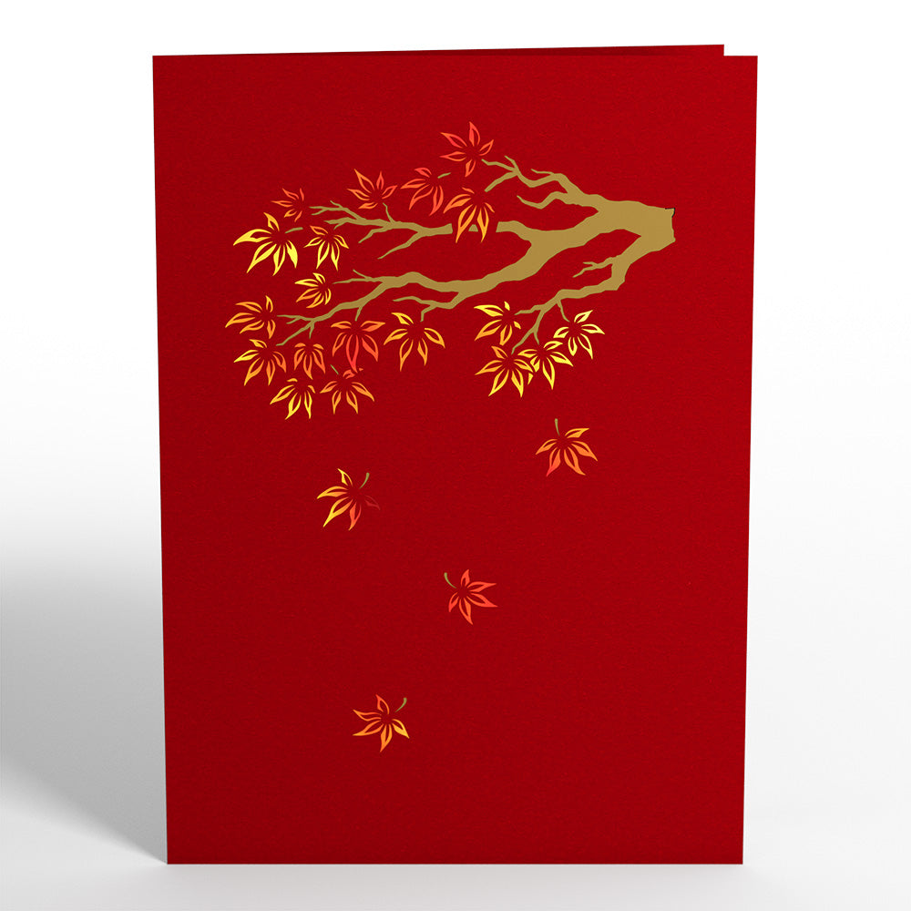 Sugar Maple Tree Pop-Up Card