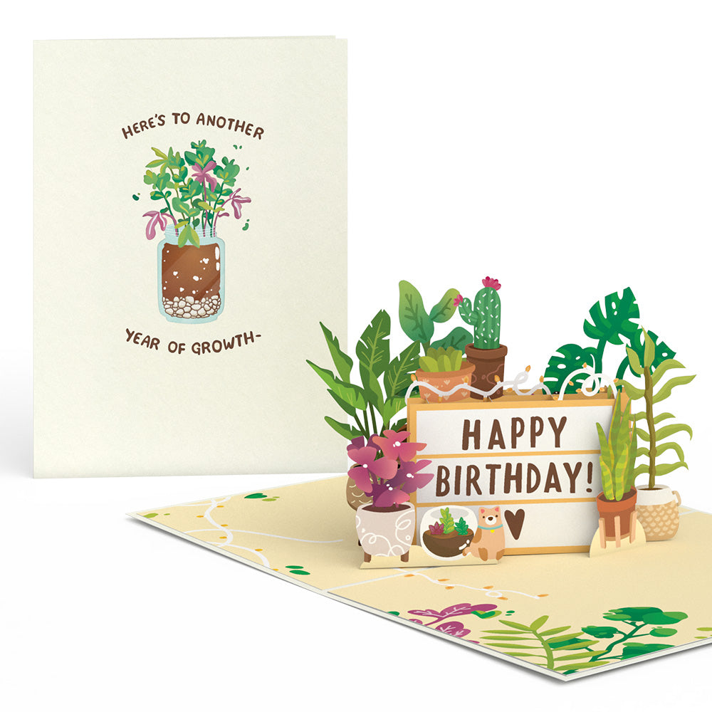birthday succulent puns Happy Birthday Plants Pop-Up Card
