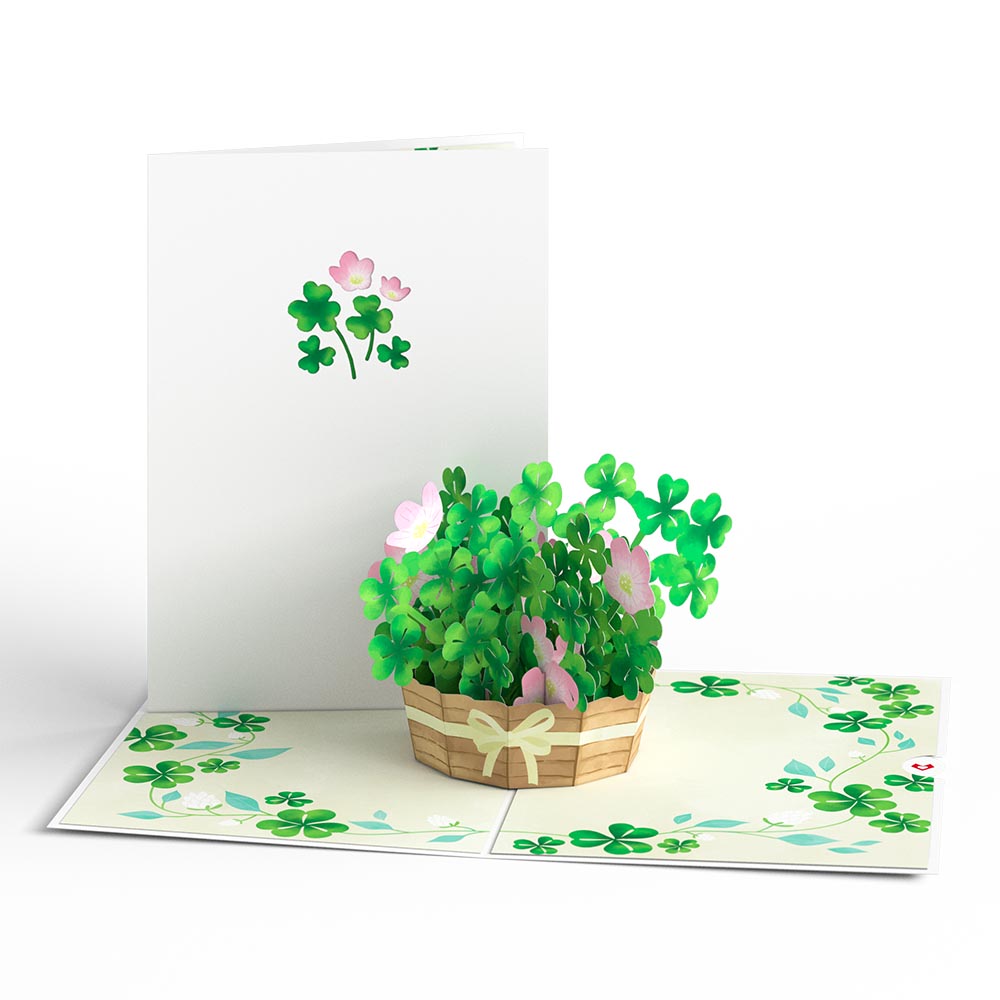 Lucky Shamrock 3-Pack