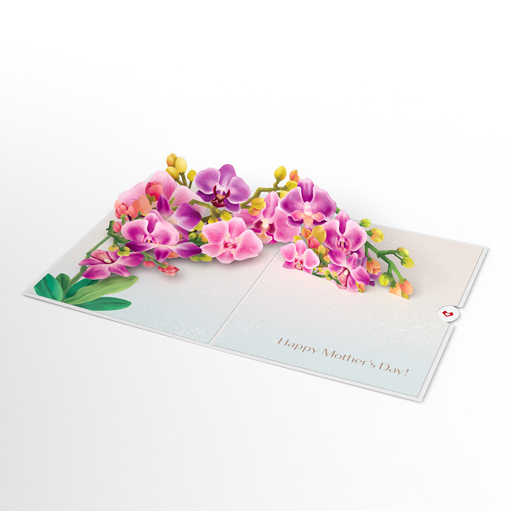 Mother's Day Orchid Pop-Up Card & Bouquet Bundle