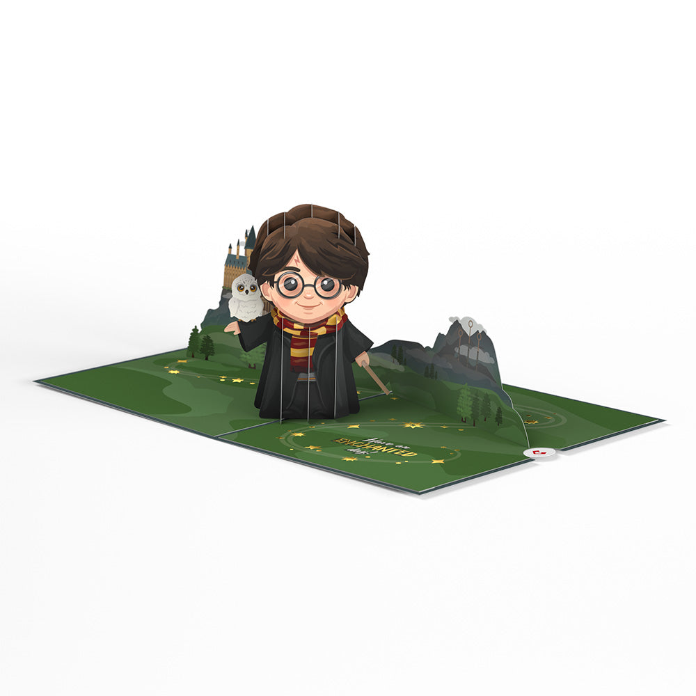 Harry Potter™ The Chosen One Birthday Pop-Up Card