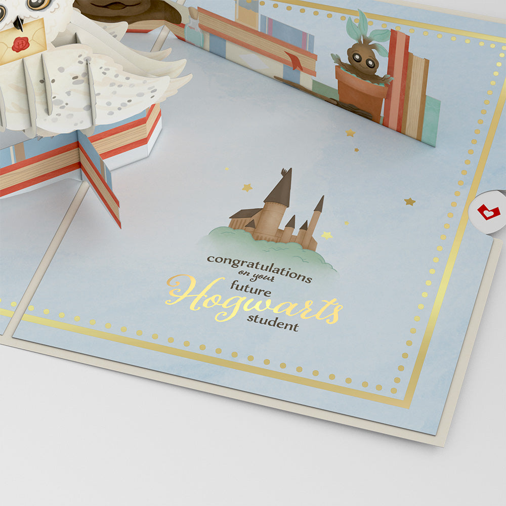 Harry Potter Special Delivery Baby Pop-Up Card