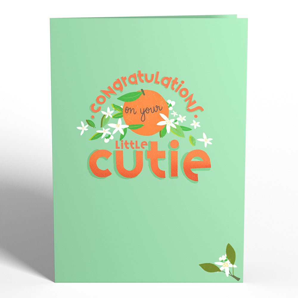 Congratulations On Your Cutie New Baby Pop-Up Card