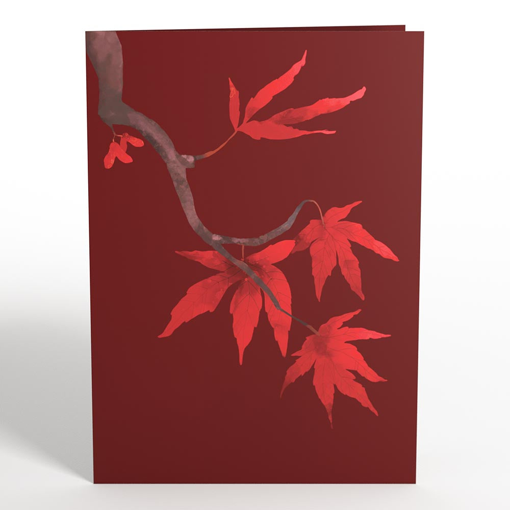 Majestic Japanese Maple Pop-Up Card