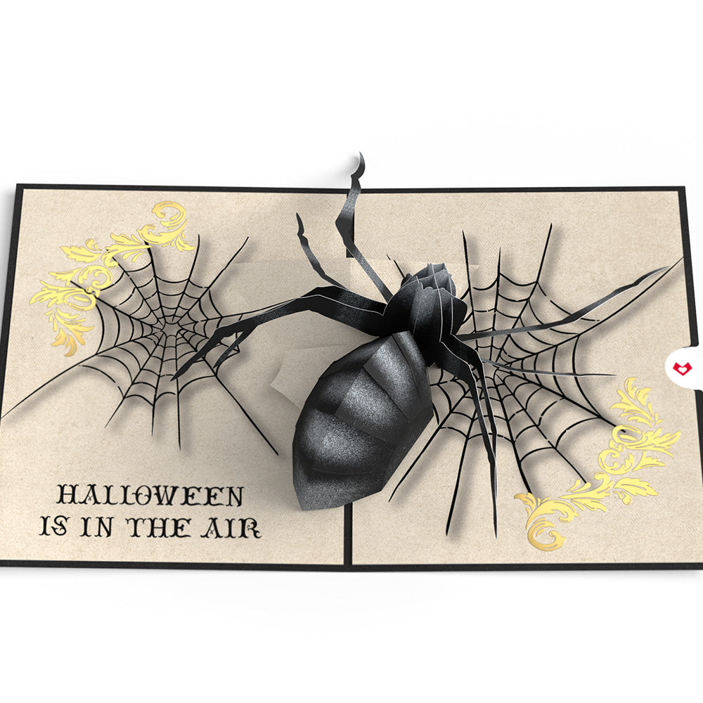 Beware Halloween Spider Pop-Up Card