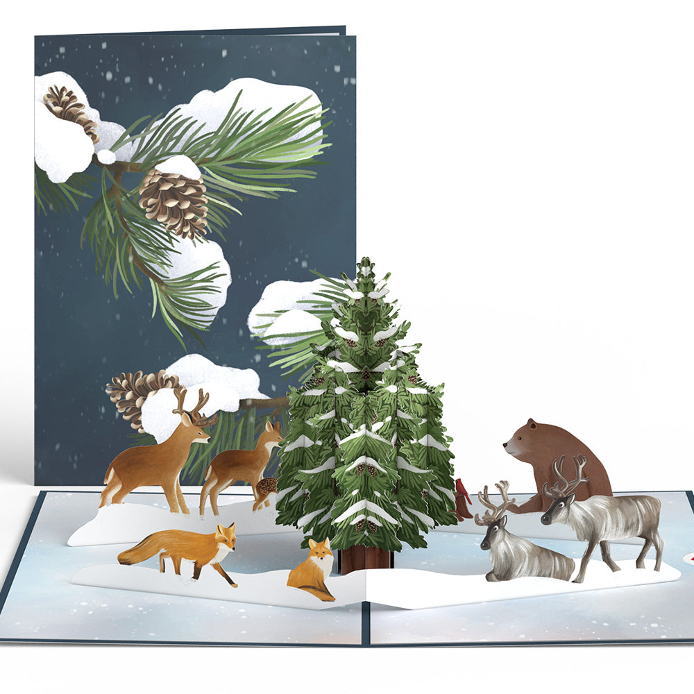 Winter Woodland 5-Pack