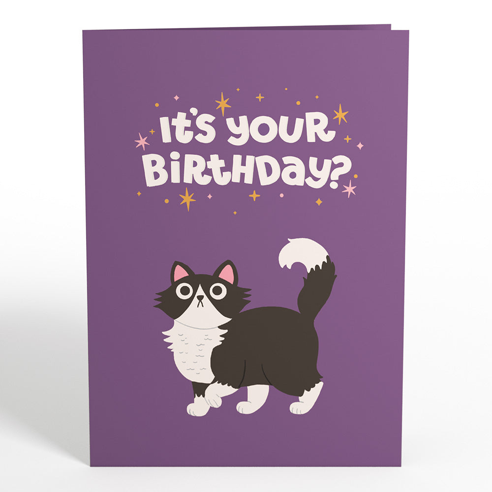 Your Gift Is in the Litterbox Birthday Cat Pop-Up Card