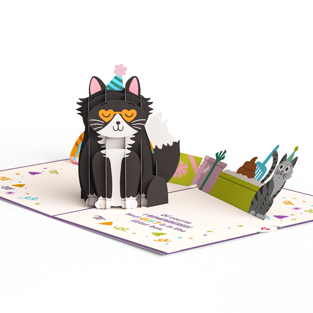Your Gift Is in the Litterbox Birthday Cat Pop-Up Card