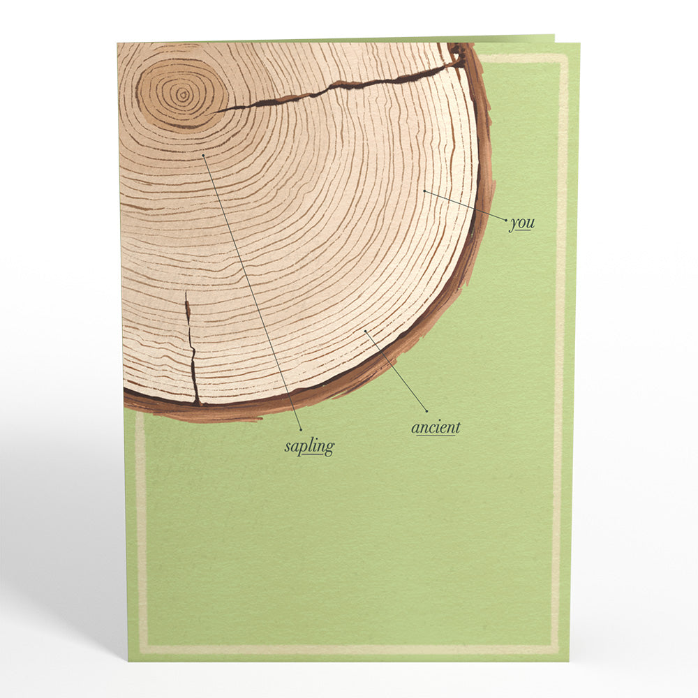 Ringing In Another Year Birthday Pop-Up Card