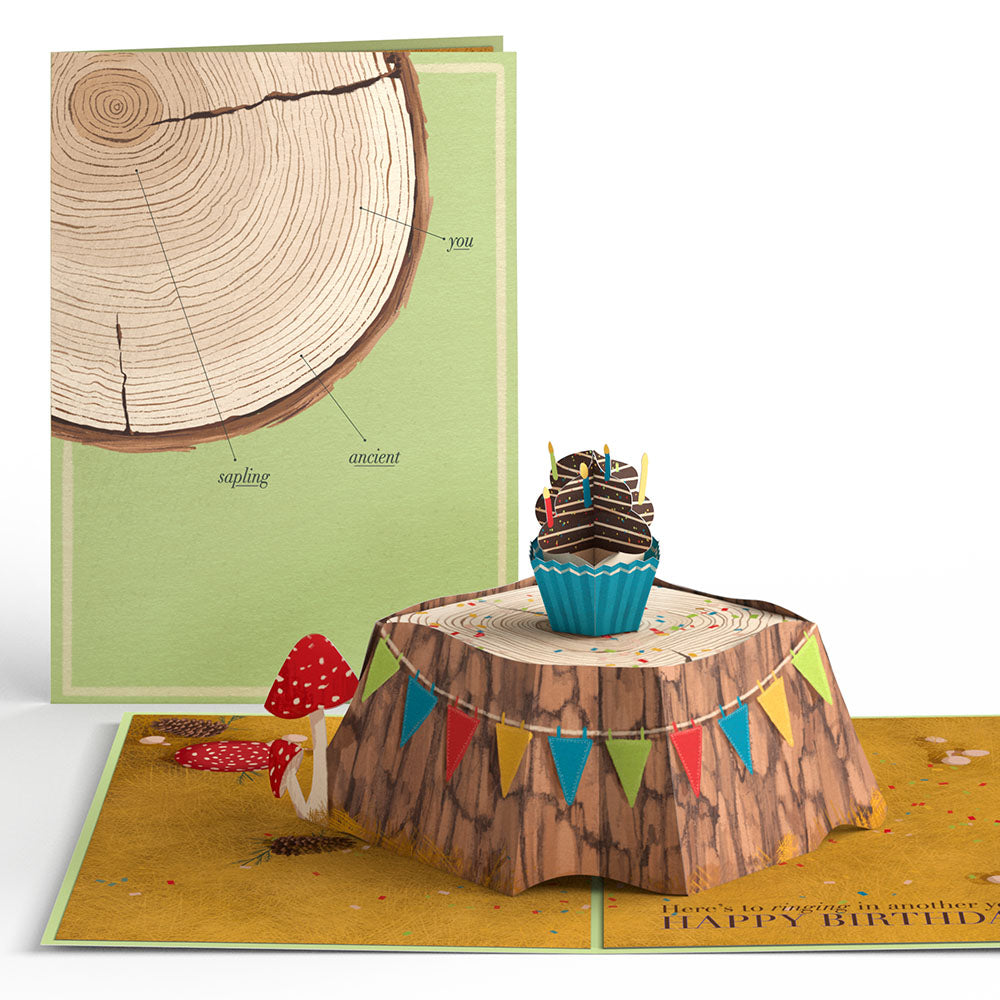 Ringing In Another Year Birthday Pop-Up Card