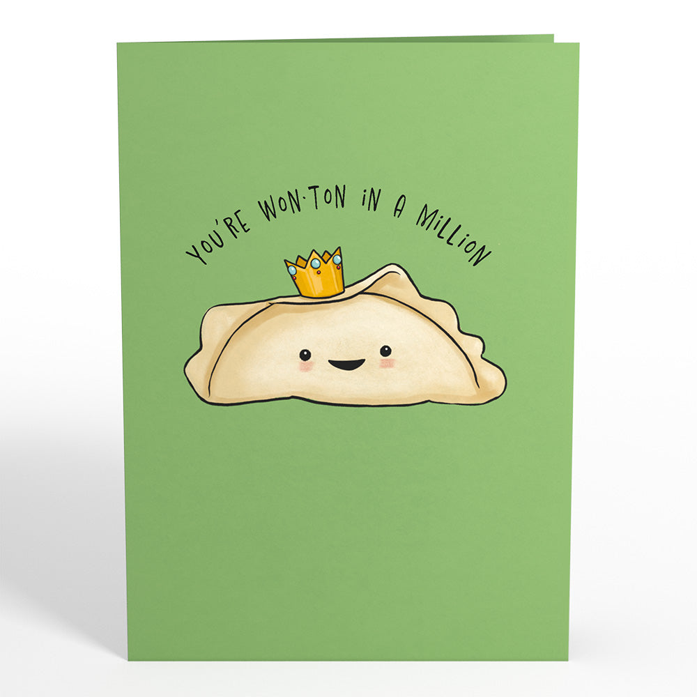 Wonton in a Million Friendship Pop-Up Card