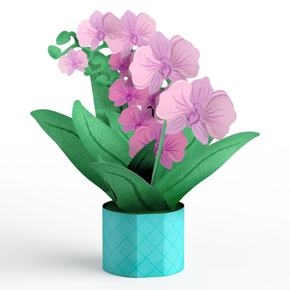 Proud to Be Y’Orchid Mother’s Day Card with Mini Bouquet