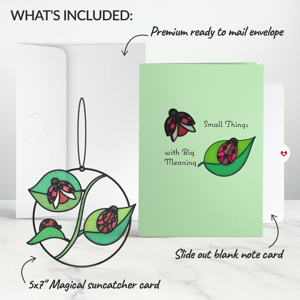 Small Things with Big Meaning Ladybug Suncatcher Card