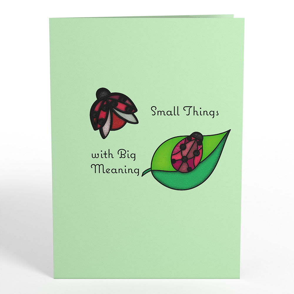 Small Things with Big Meaning Ladybug Suncatcher Card