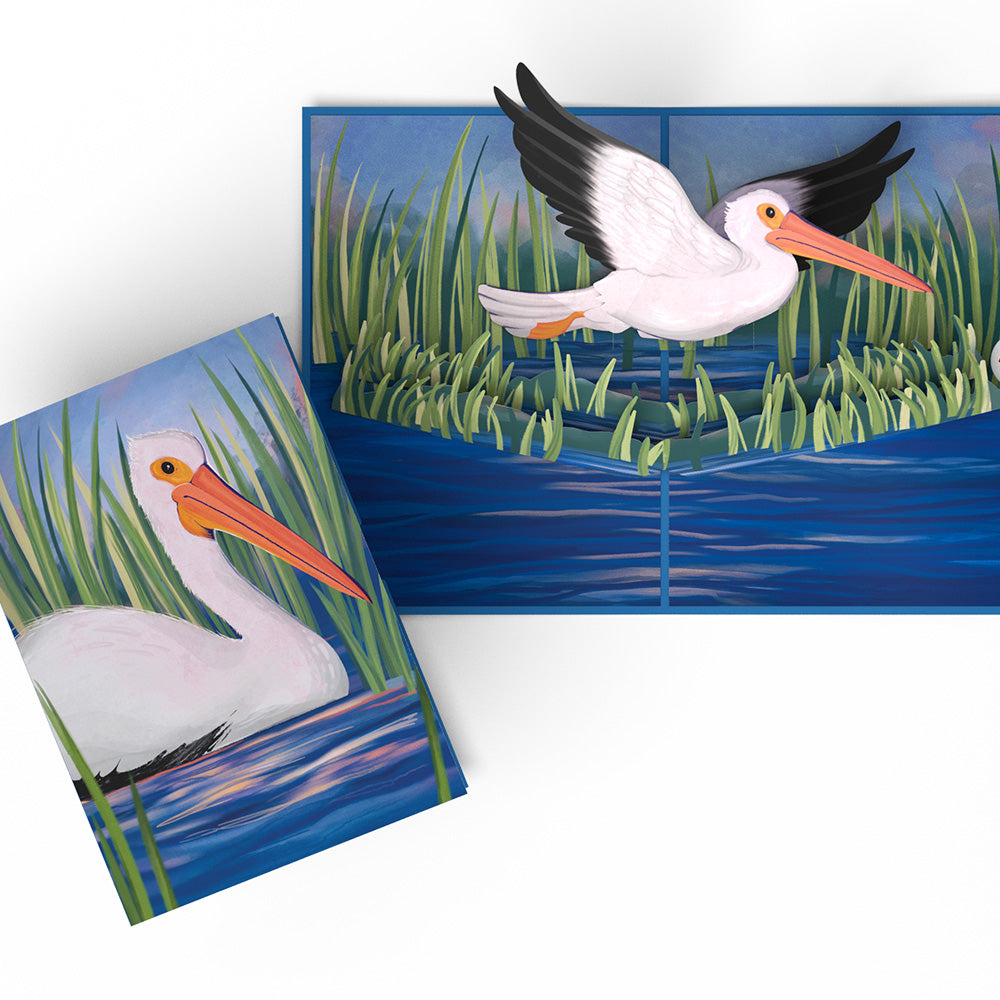 Pelican in the Marsh Pop-Up Card