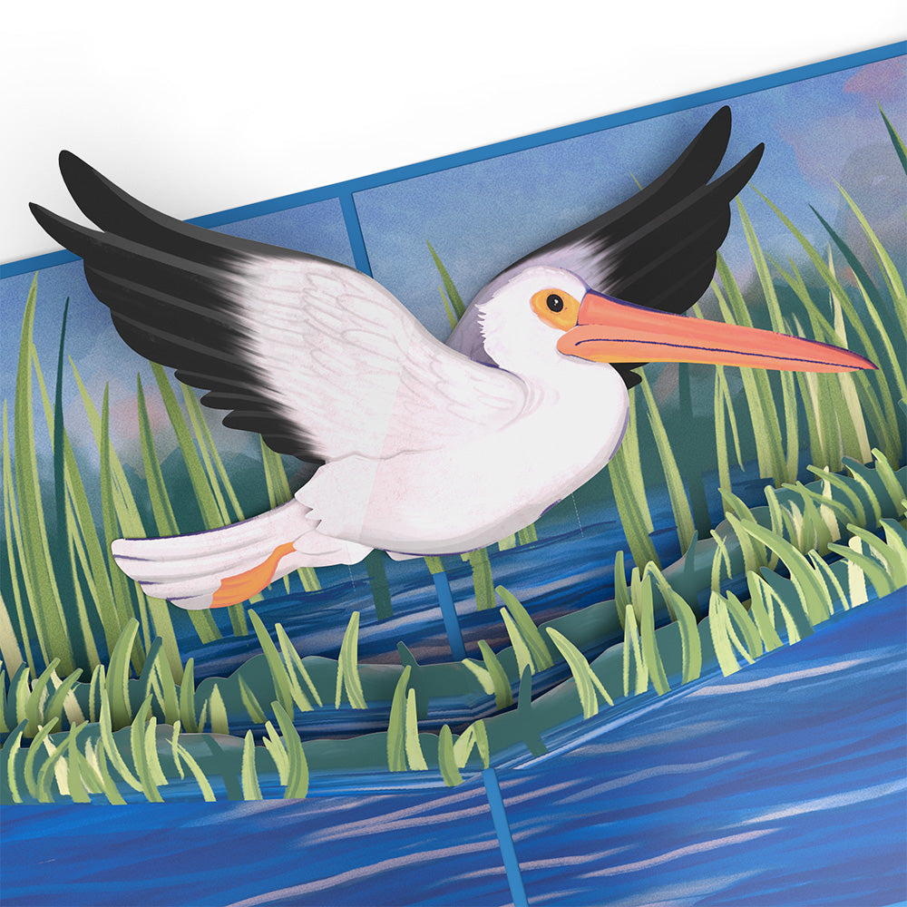 Pelican in the Marsh Pop-Up Card