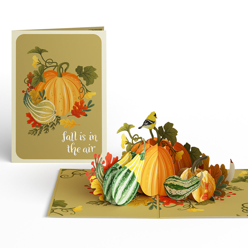 Fall Is in the Air 3-Pack