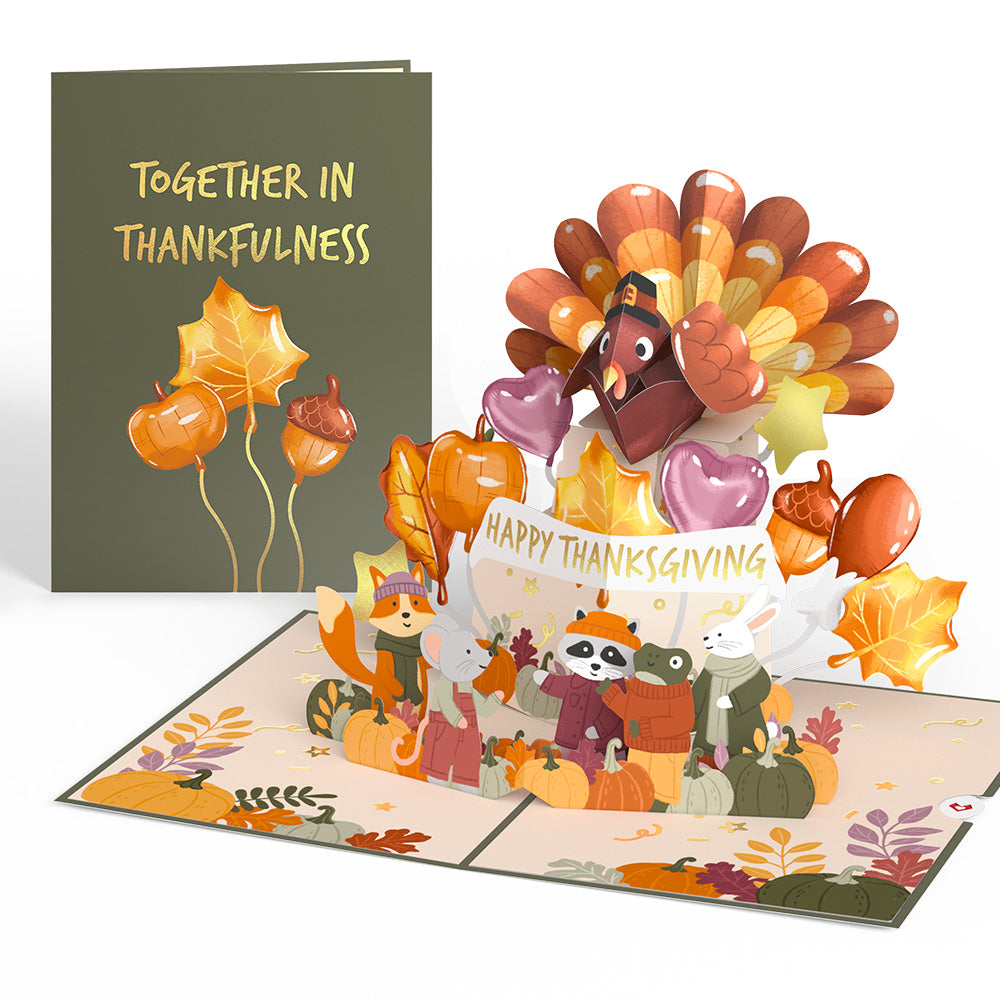 Happy Thanksgiving 5-Pack
