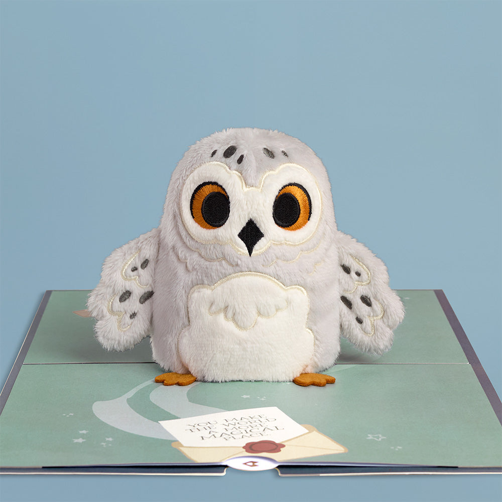 Harry Potter™ Hedwig™ ‘Message from Hogwarts’ Plushpop Card