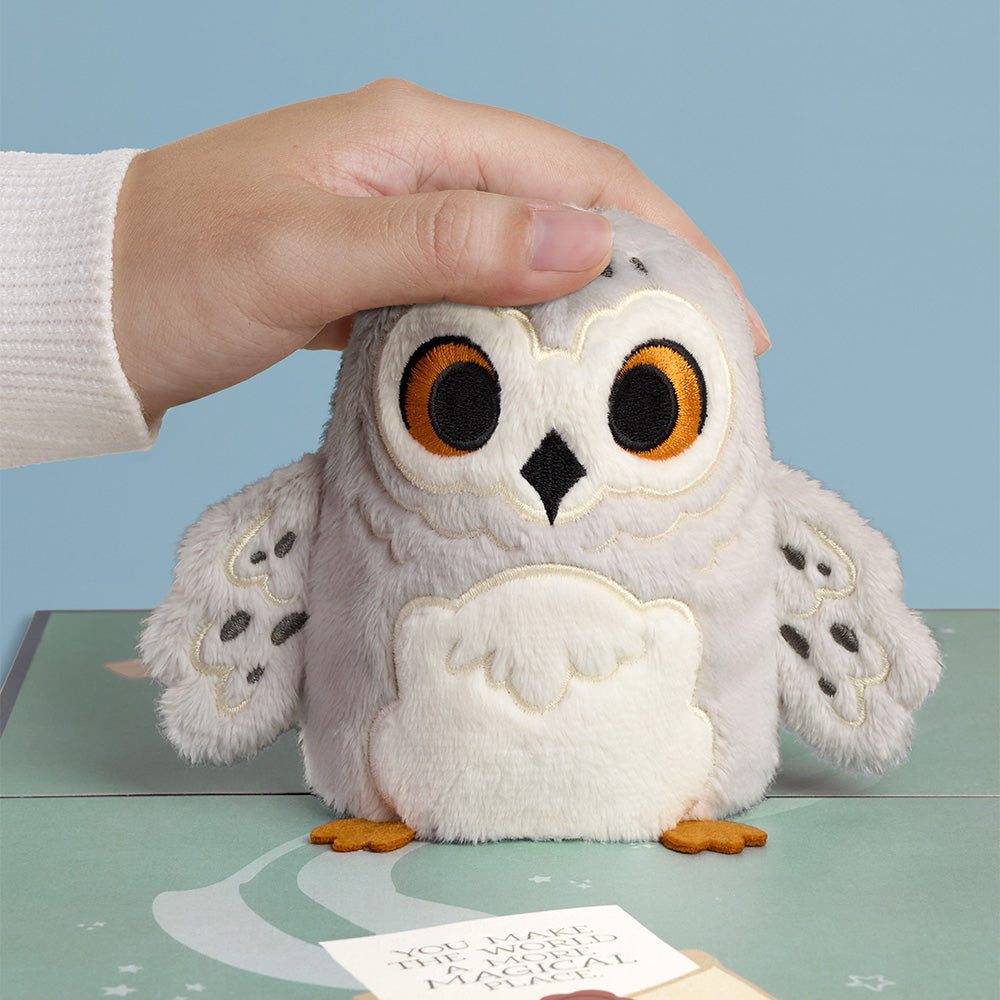 Harry Potter™ Hedwig™ Plushpop Card & Flower Buds Bouquet Bundle