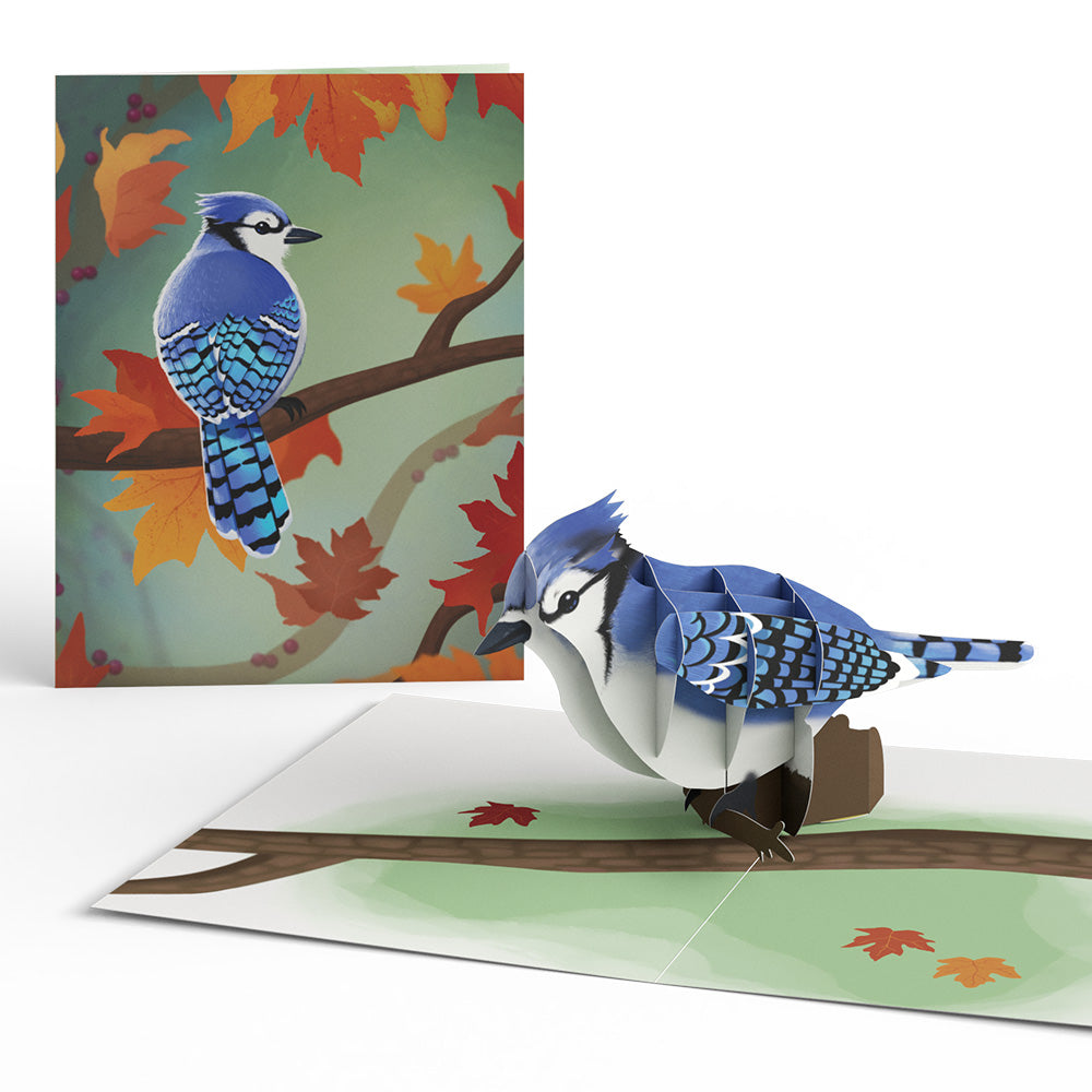 Fall Bird Box Set (Assorted 12-pack): Paperpop® Card
