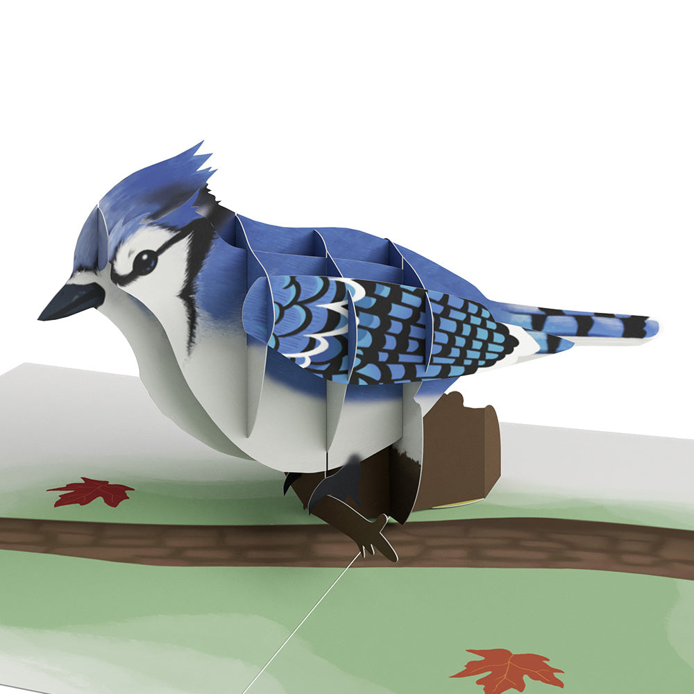 Fall Bird Box Set (Assorted 12-pack): Paperpop® Card