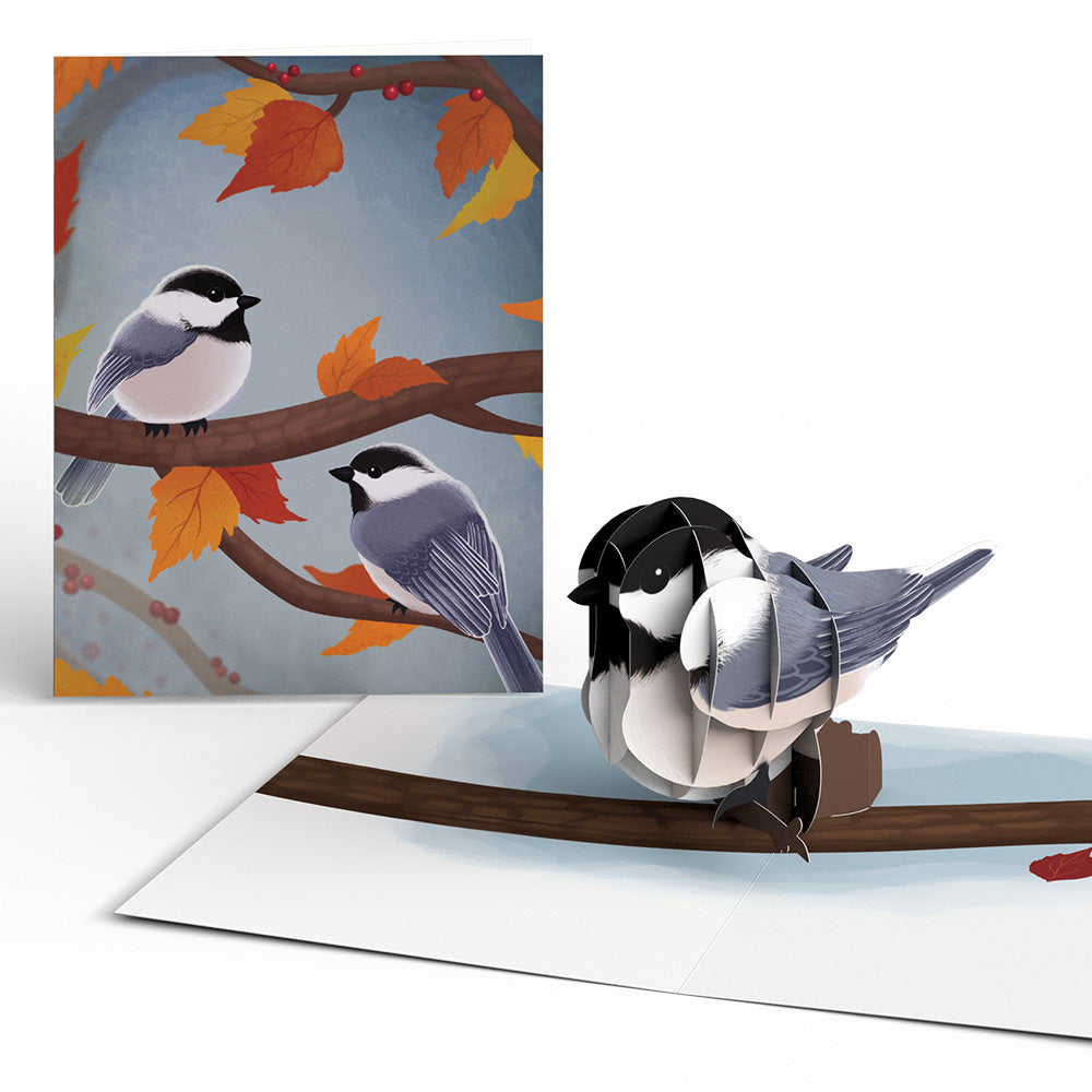 Fall Bird Box Set (Assorted 12-pack): Paperpop® Card