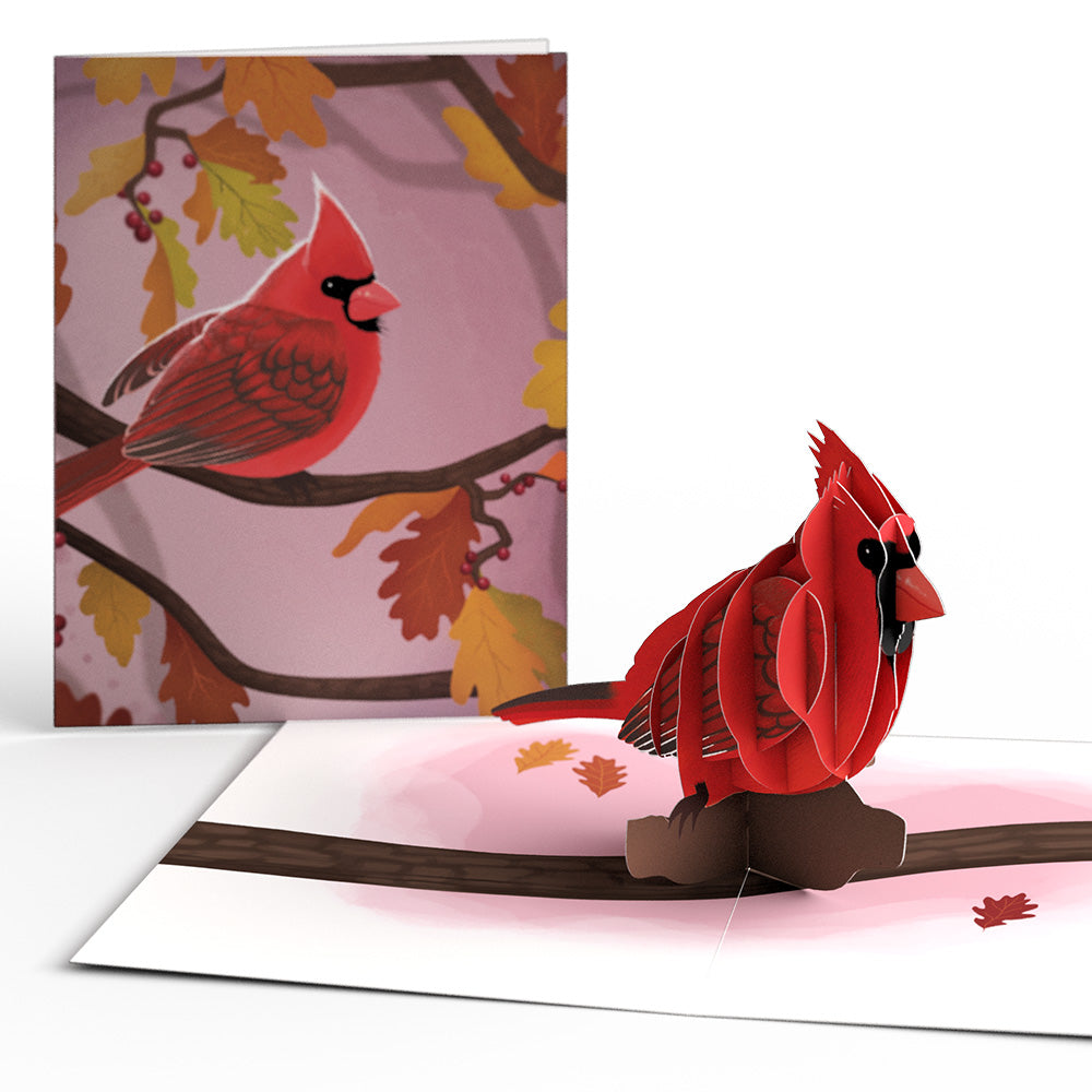 Fall Bird Box Set (Assorted 12-pack): Paperpop® Card