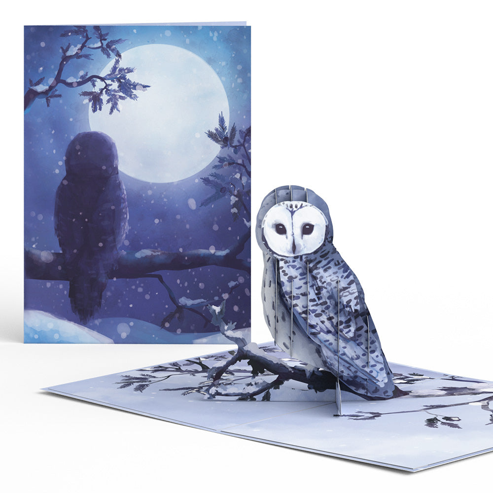 Winter Woodland 5-Pack