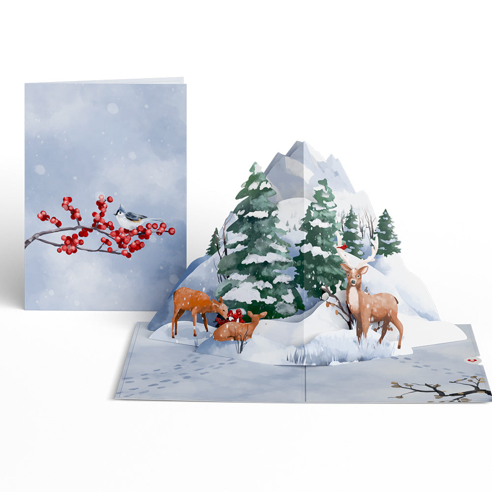 Winter Woodland 5-Pack