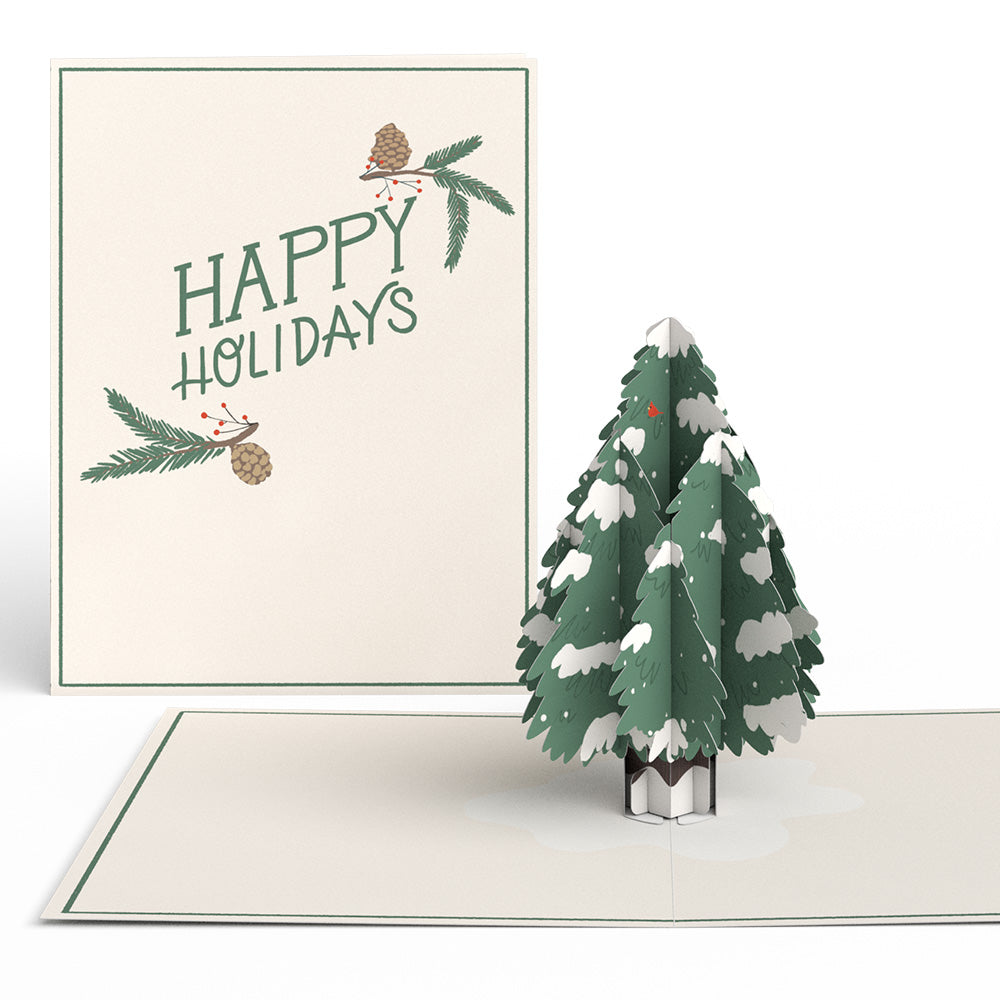Wintry Holiday Greetings Box Set (Assorted 12-pack): Paperpop® Card