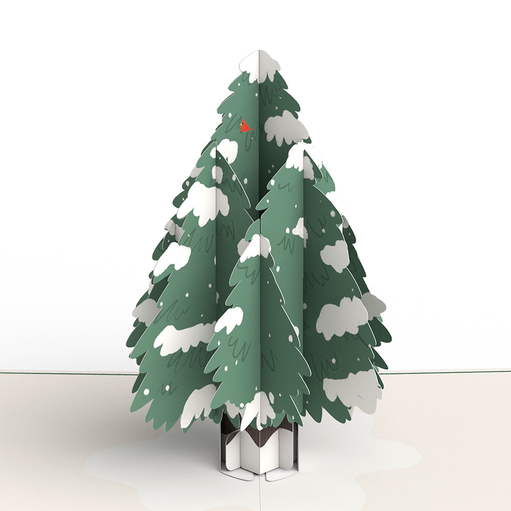 Wintry Holiday Greetings Box Set (Assorted 12-pack): Paperpop® Card