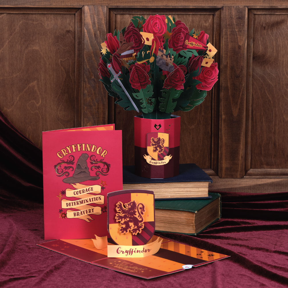 Harry Potter™ Gryffindor™ Birthday Bundle