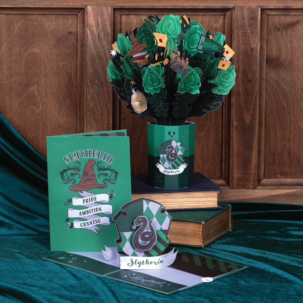 Harry Potter™ Slytherin™ Birthday Bundle