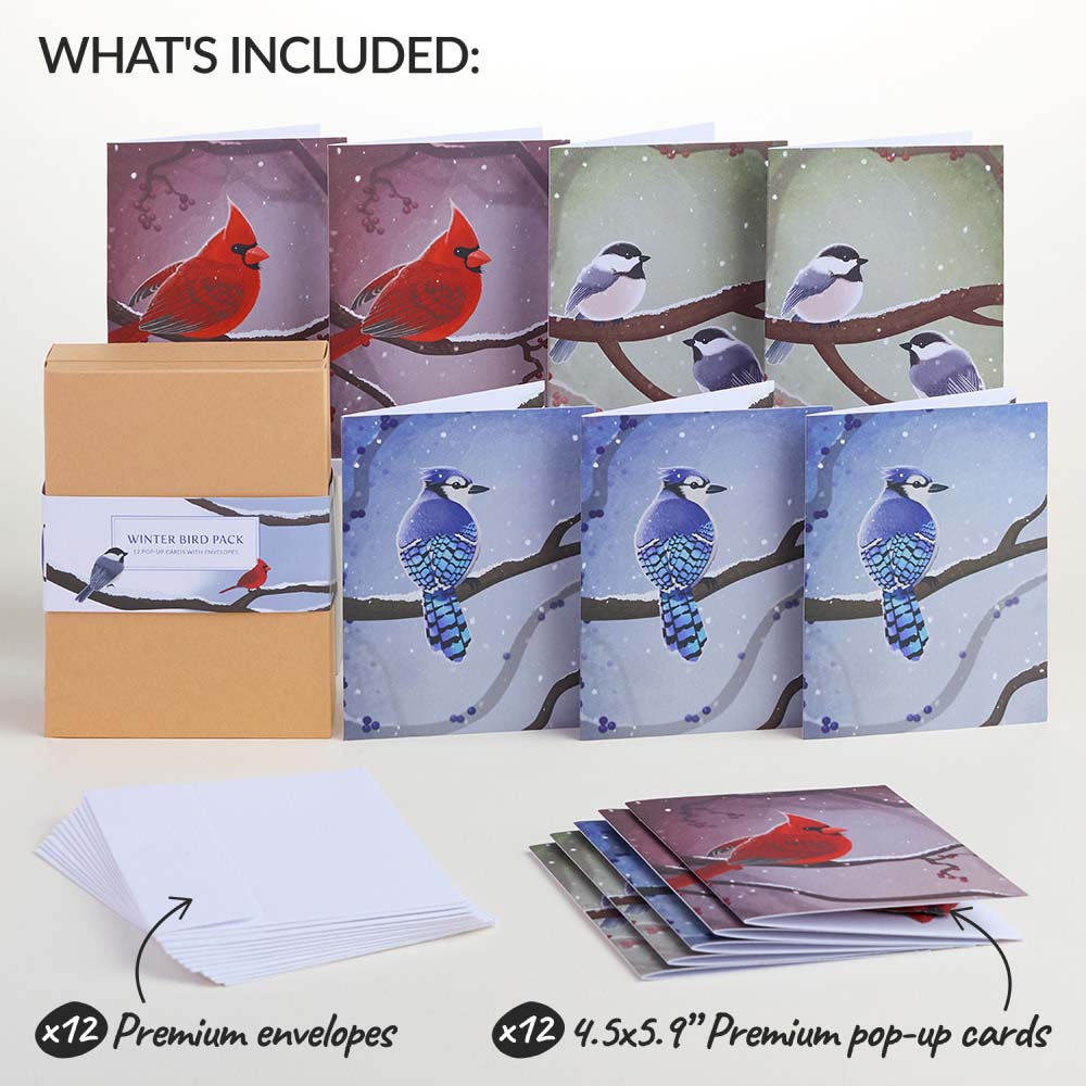 Seasonal Birds Box Set Bundle (Assorted 36-Pack): Paperpop® Card