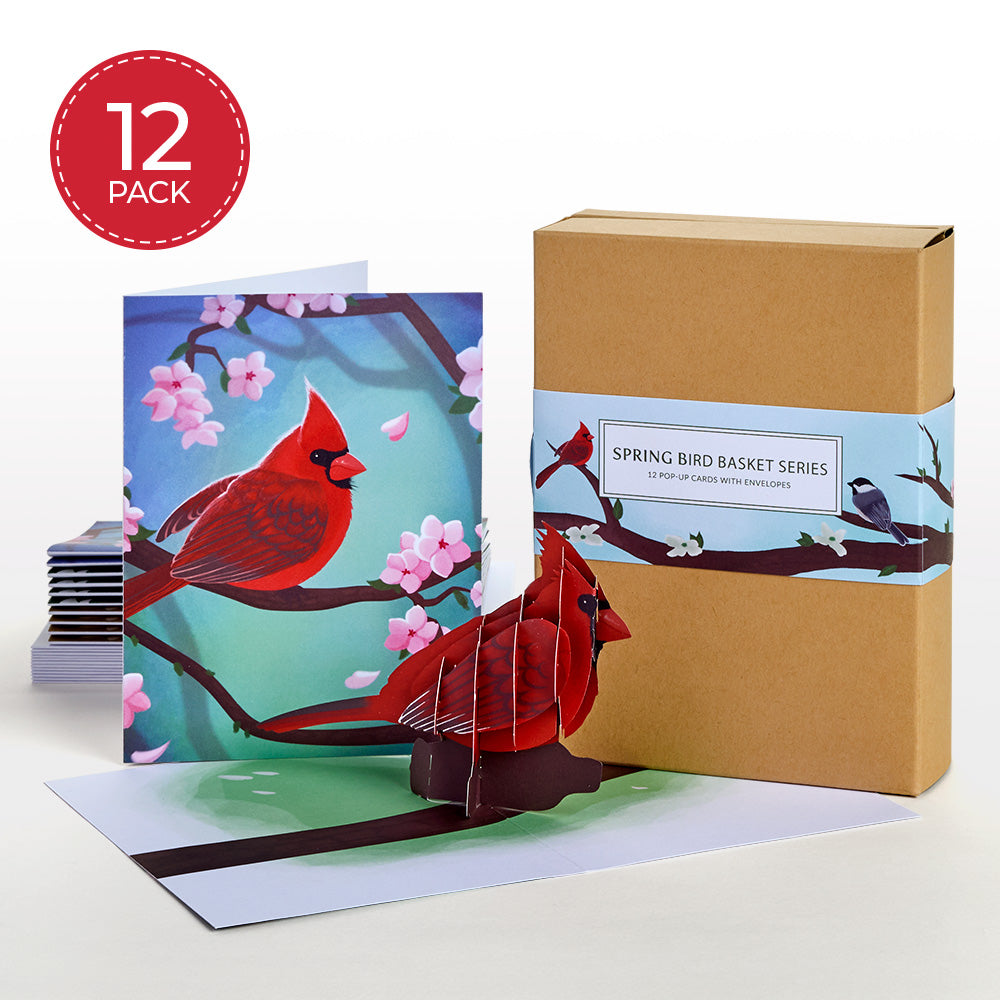 Seasonal Birds Box Set Bundle (Assorted 36-Pack): Paperpop® Card