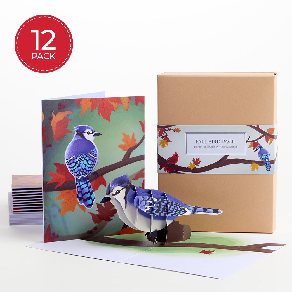 Fall Bird Box Set (Assorted 12-pack): Paperpop® Card