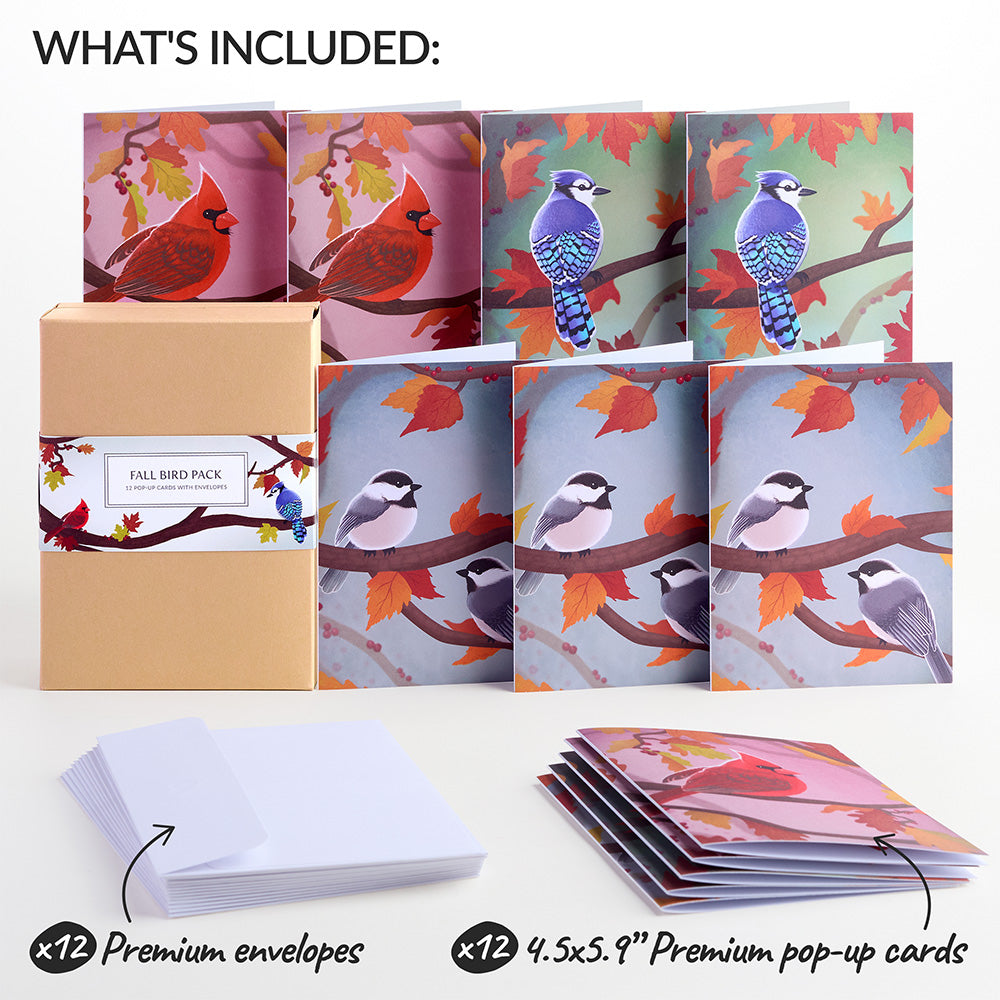 Fall Bird Box Set (Assorted 12-pack): Paperpop® Card
