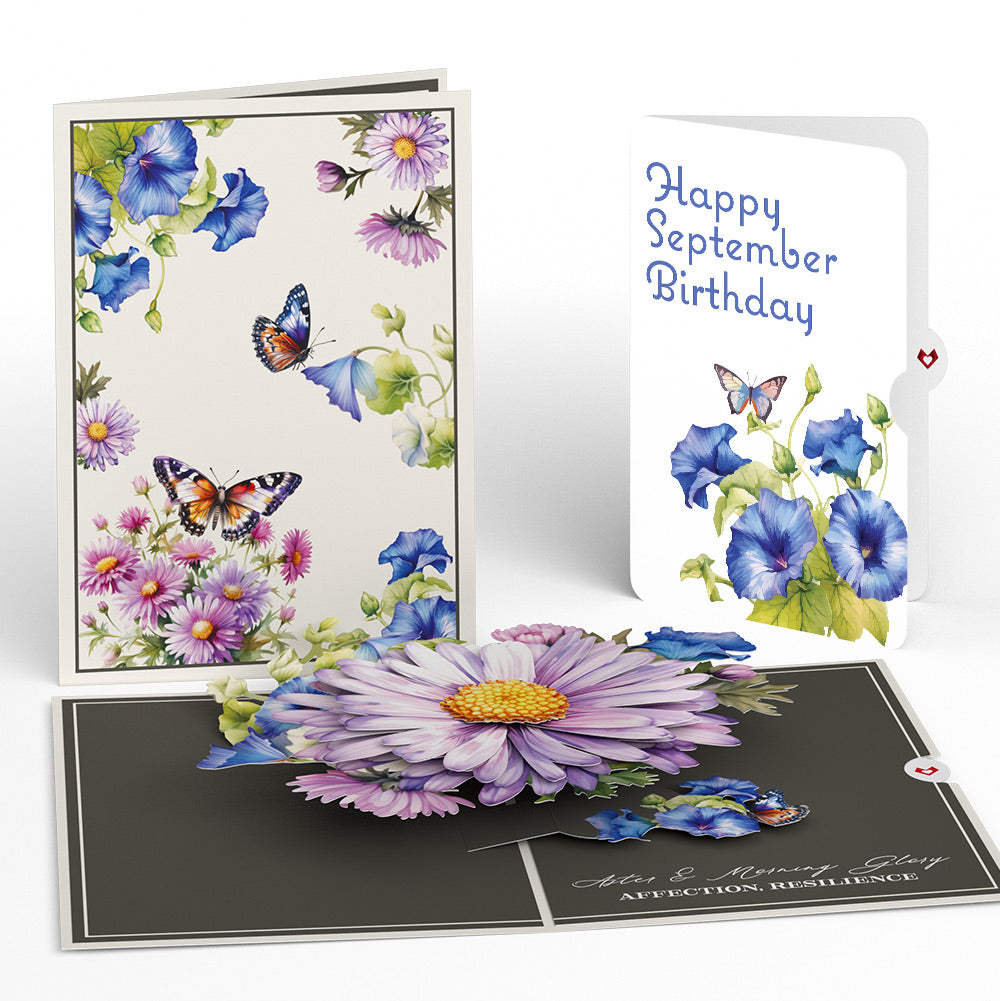 Born to Bloom: September Birth Month Flowers Pop-Up Card and Morning Glory Sentiment Set