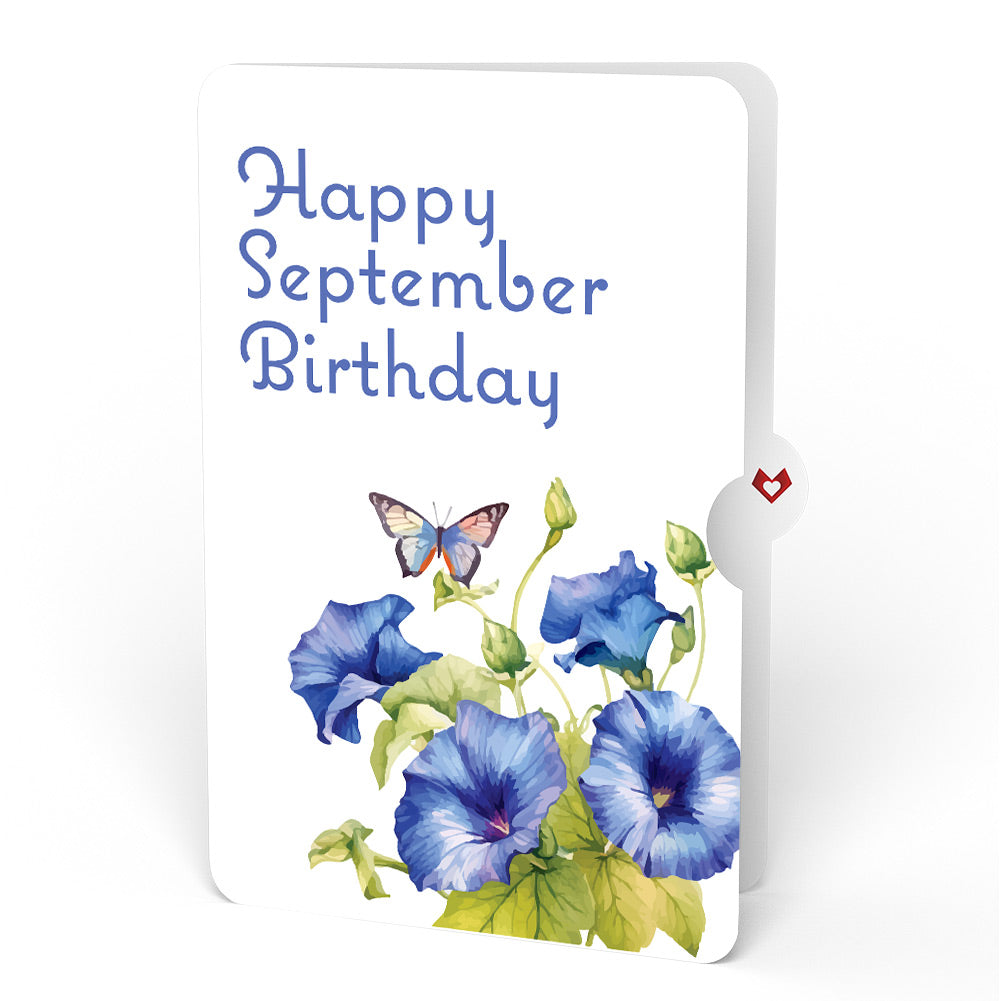 Born to Bloom: September Birth Month Flowers Pop-Up Card and Morning Glory Sentiment Set