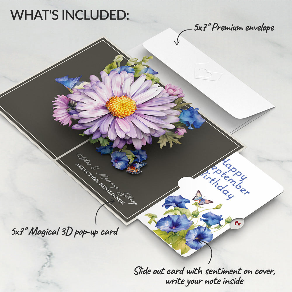 Born to Bloom: September Birth Month Flowers Pop-Up Card and Morning Glory Sentiment Set